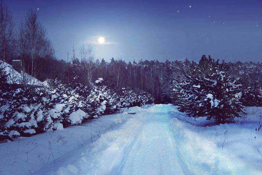 winter night